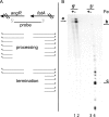 FIG. 5.