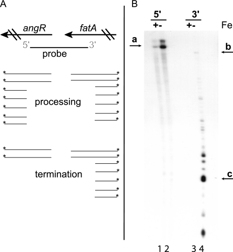 FIG. 5.