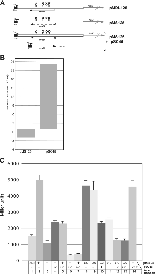 FIG. 4.