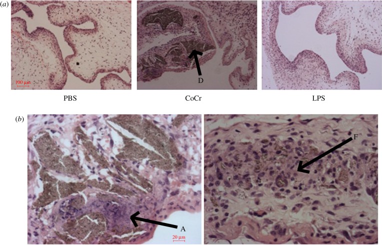 Figure 7.