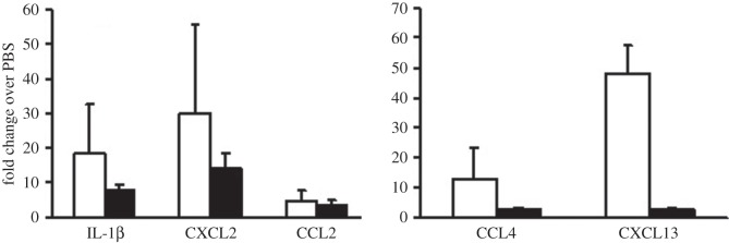 Figure 5.