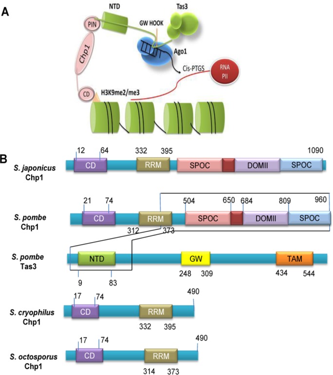 FIGURE 2: