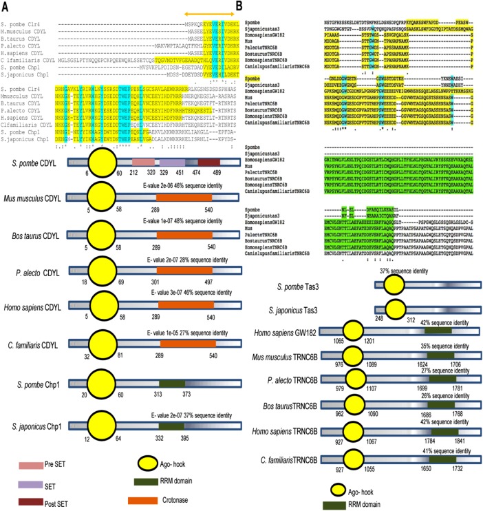 FIGURE 4: