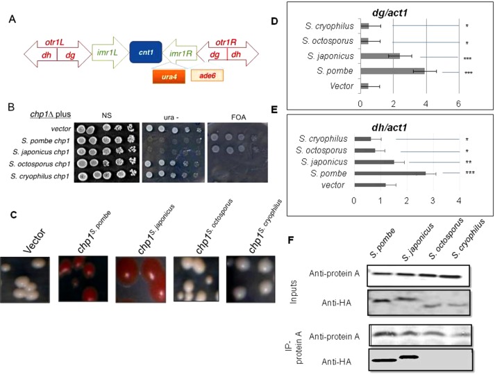 FIGURE 3: