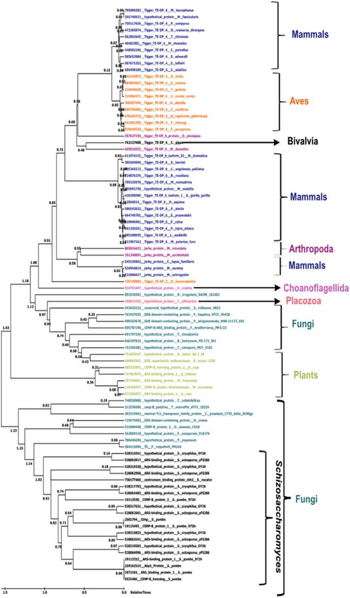 FIGURE 6: