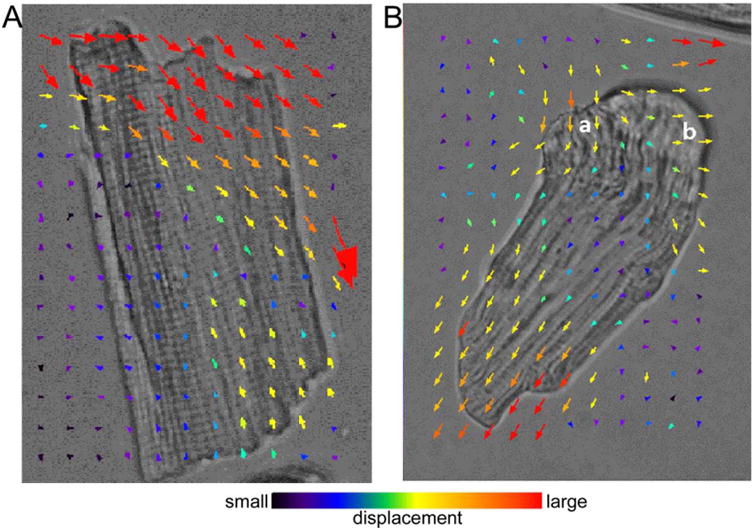 Fig. 4