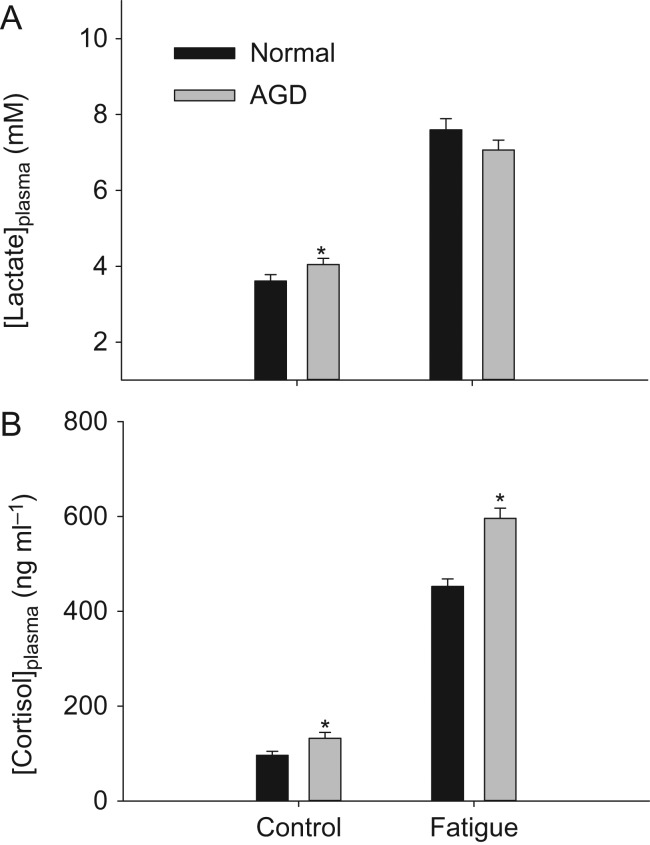 Figure 5: