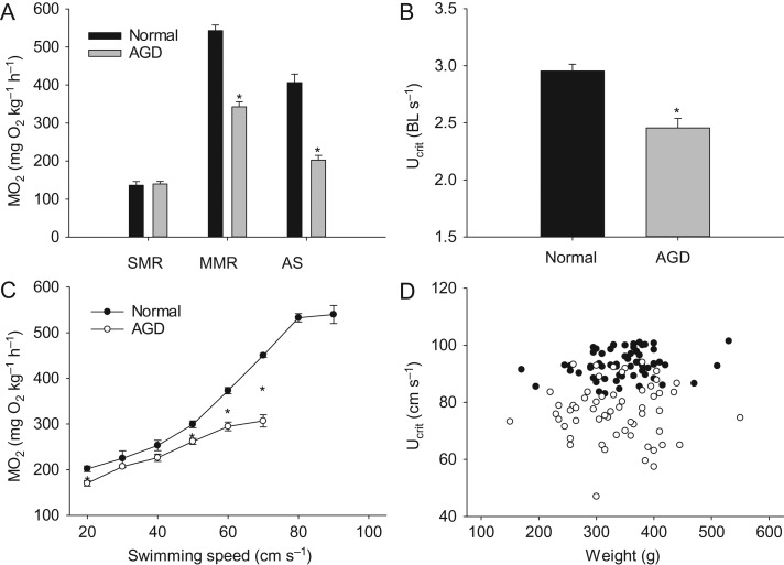 Figure 2: