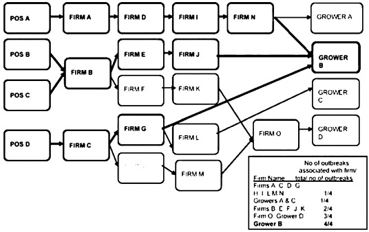 FIGURE 2.8