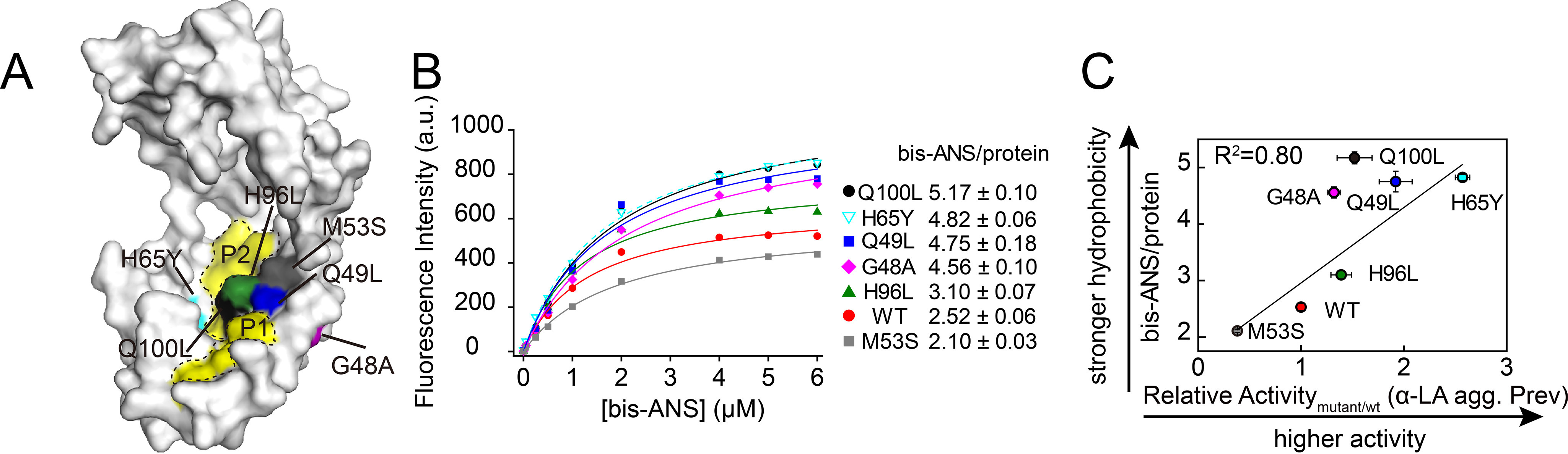 Figure 2.