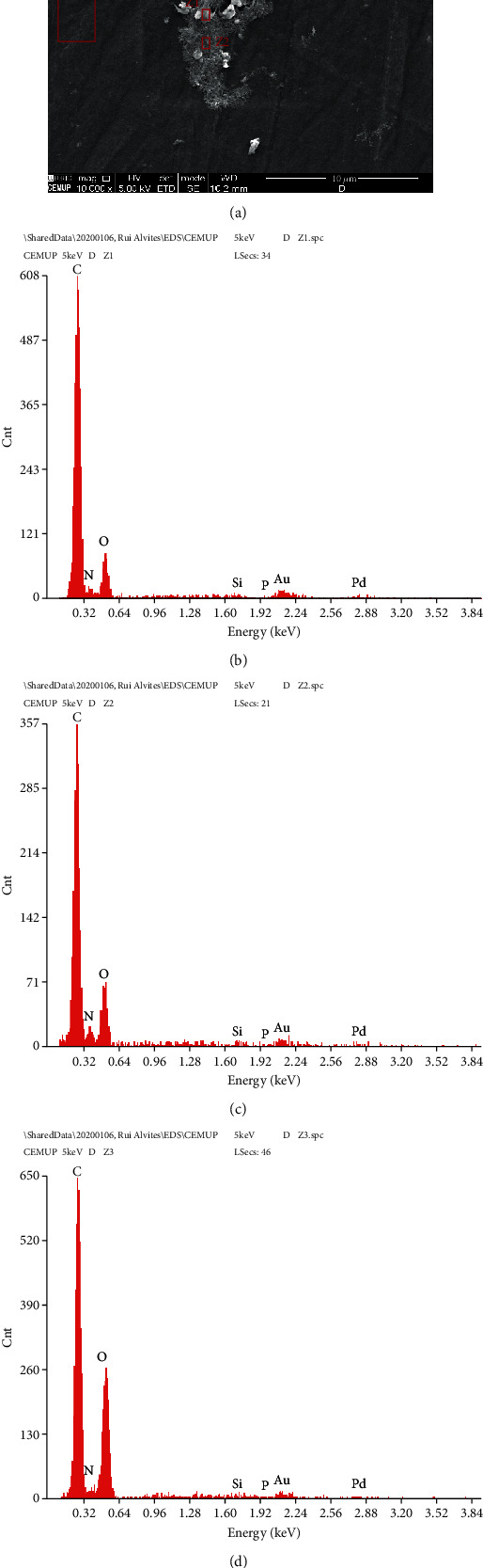 Figure 9