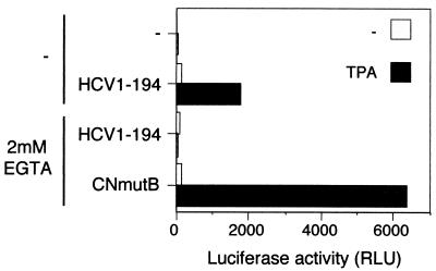 FIG. 6