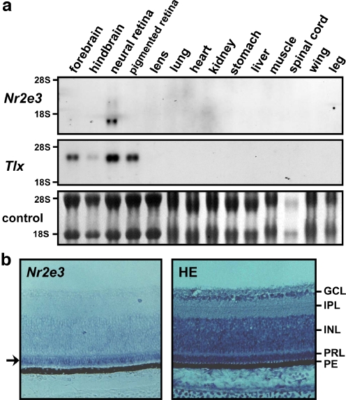 Fig. 2