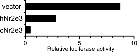 Fig. 5