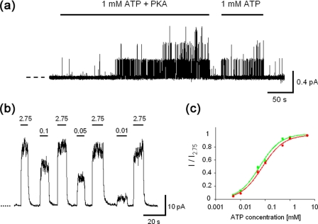 FIGURE 2.