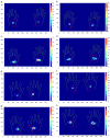 Fig. 3
