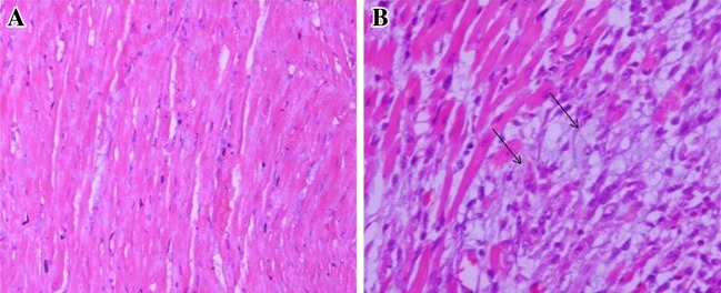 Fig. 8