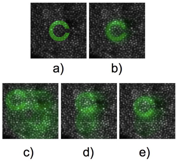 Figure 6