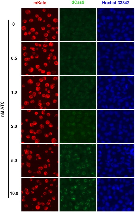 Figure 4.