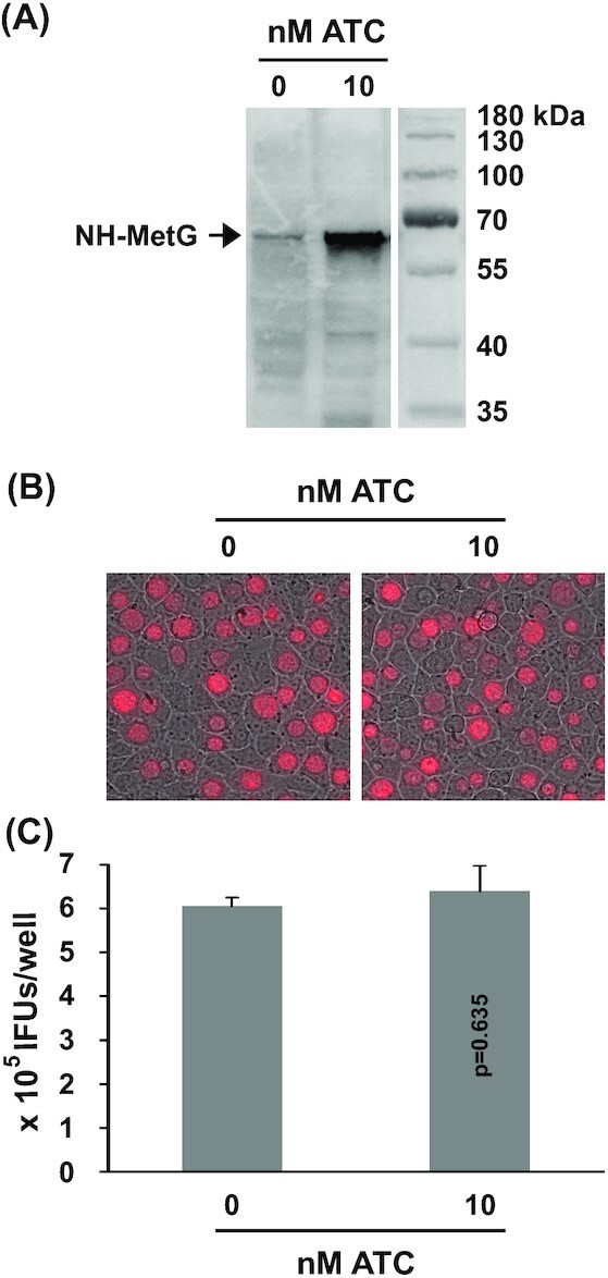 Figure 6.