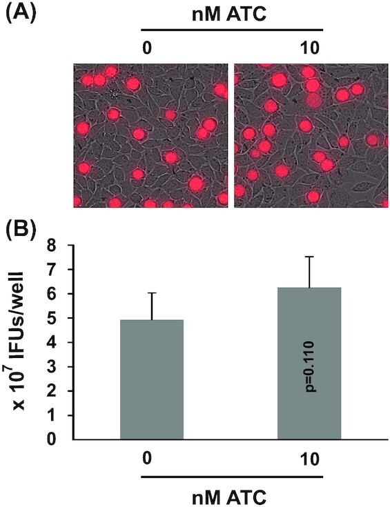 Figure 5.