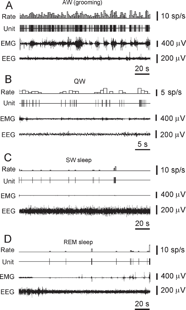 Figure 7.