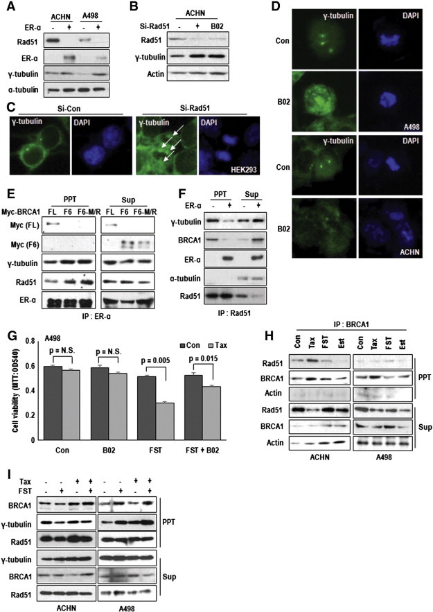 Figure 5