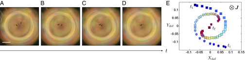 Fig. 5.