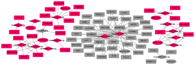 Figure 4.