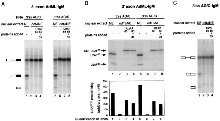 FIG. 6