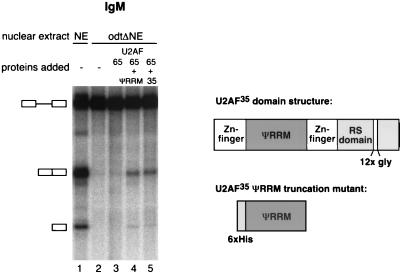 FIG. 7