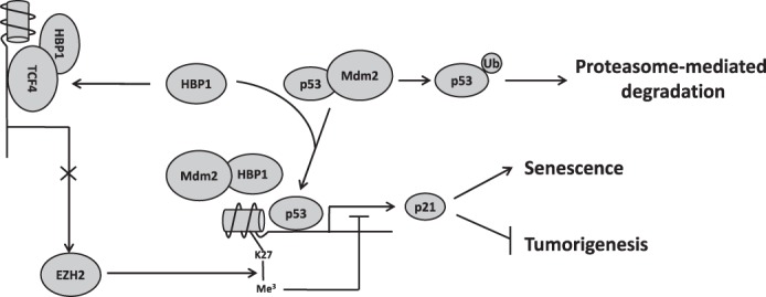 FIGURE 9.