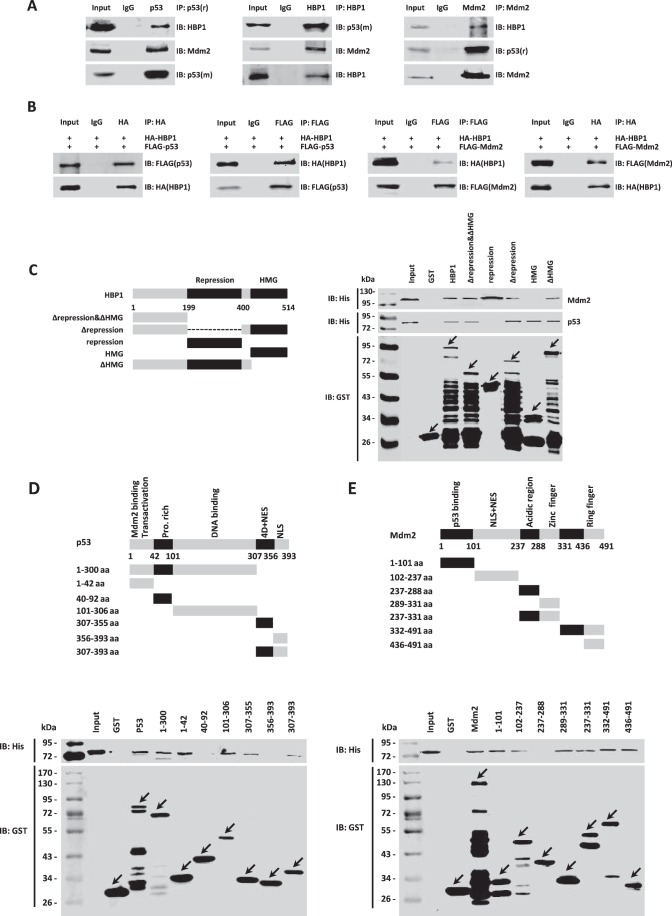 FIGURE 3.