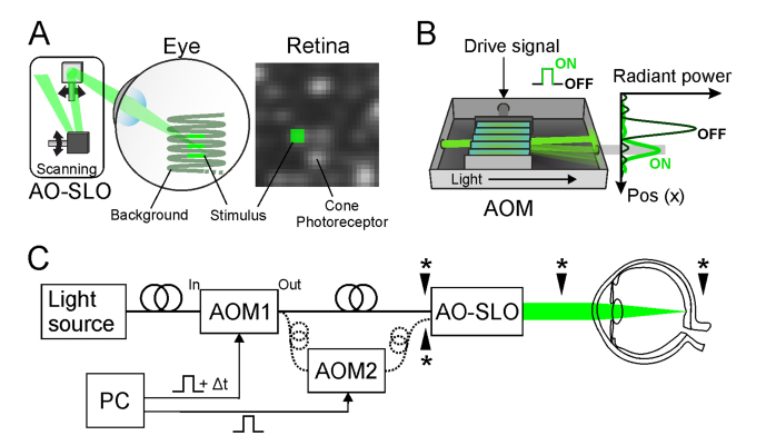 Fig. 1