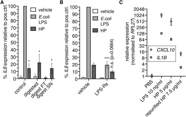 Figure 2