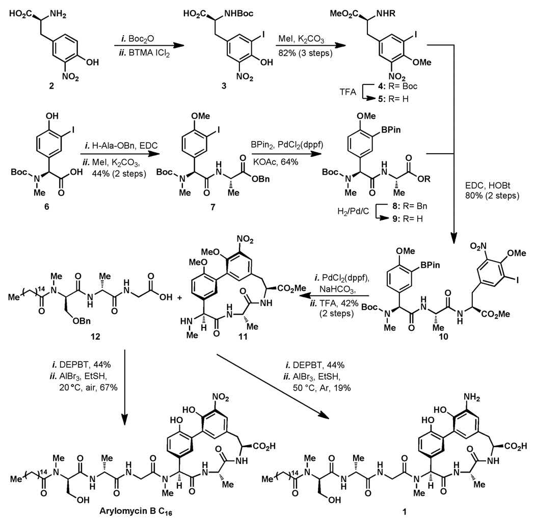 Scheme 1