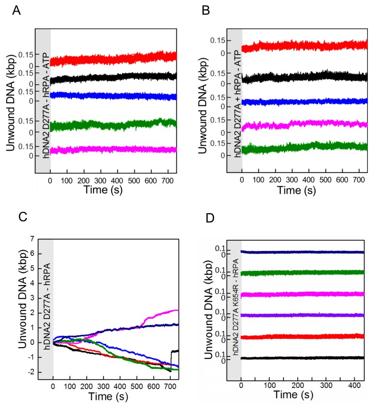 Figure 4—figure supplement 1.