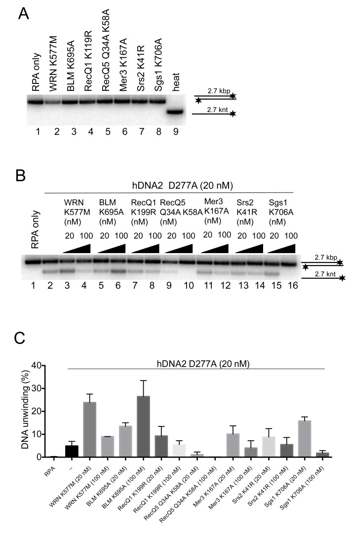 Figure 7—figure supplement 1.