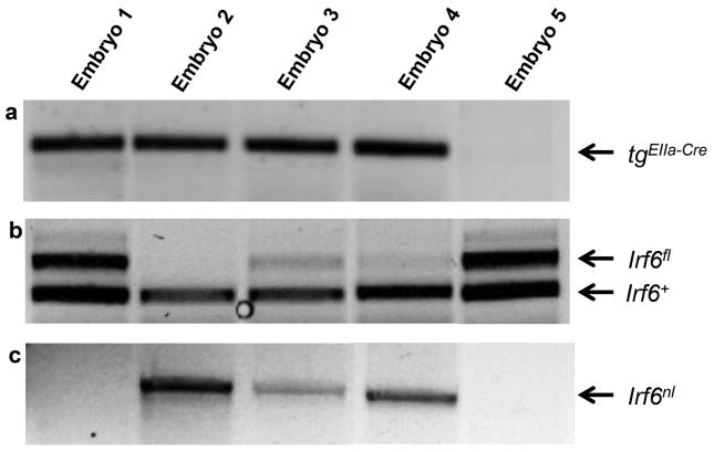 Figure 4