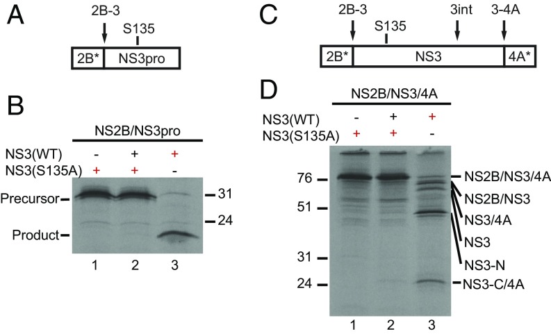 Fig. 3.