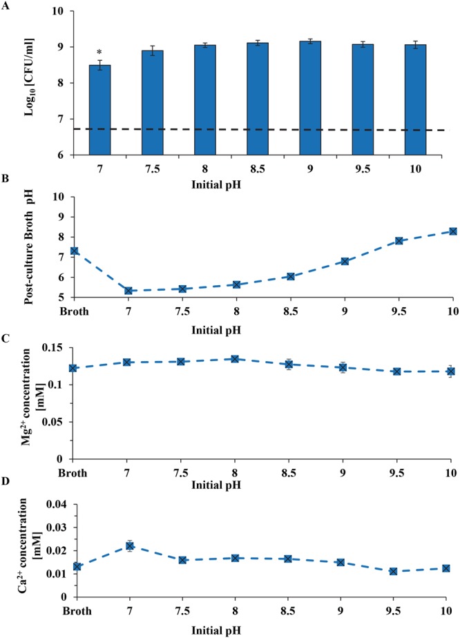 Figure 11