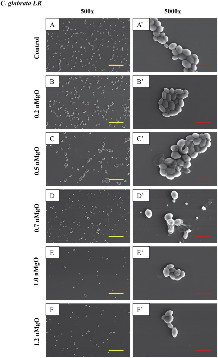 Figure 9