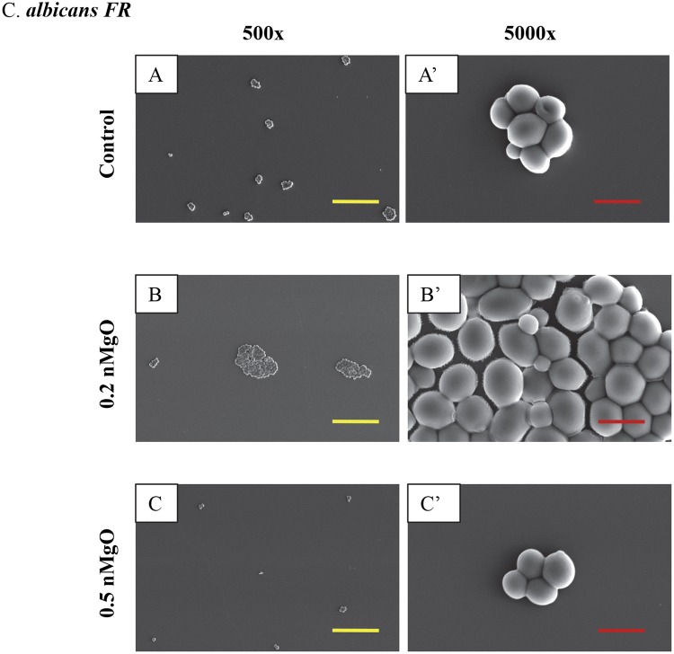 Figure 7