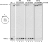 Fig 5