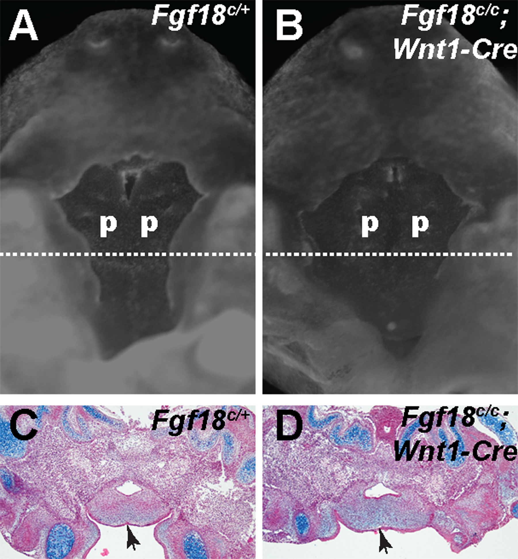 Figure 6.