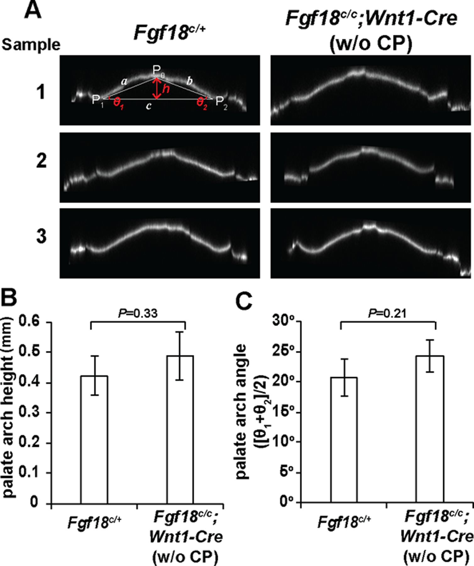 Figure 3.