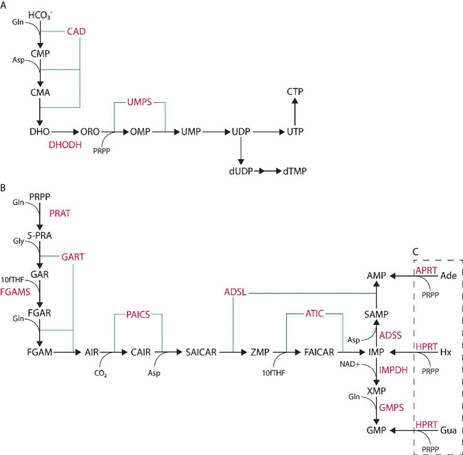 Figure 1