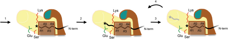 Fig. 7.