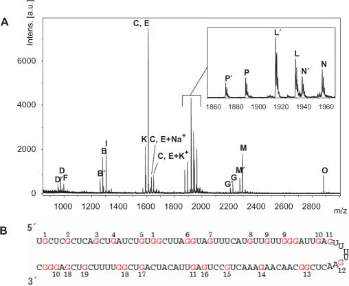 Figure 4.