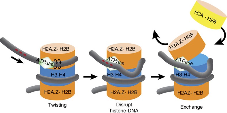 Figure 7